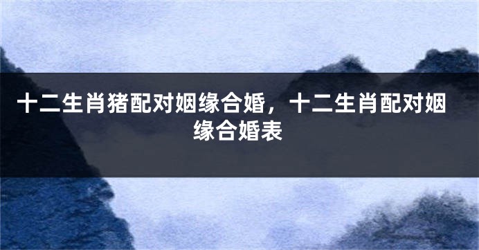 十二生肖猪配对姻缘合婚，十二生肖配对姻缘合婚表