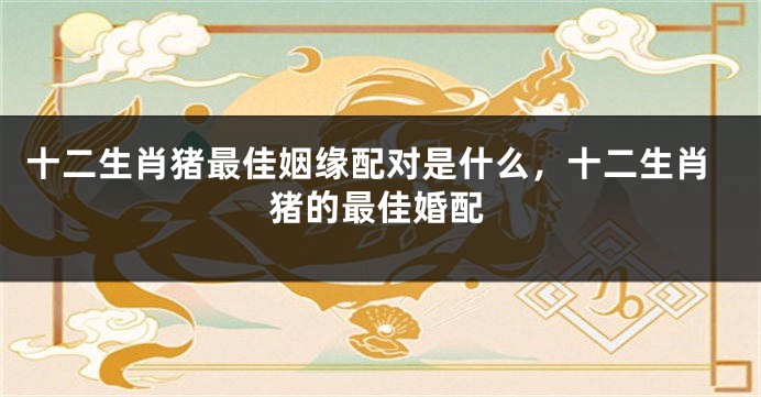 十二生肖猪最佳姻缘配对是什么，十二生肖猪的最佳婚配