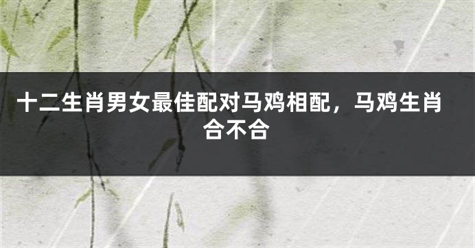 十二生肖男女最佳配对马鸡相配，马鸡生肖合不合