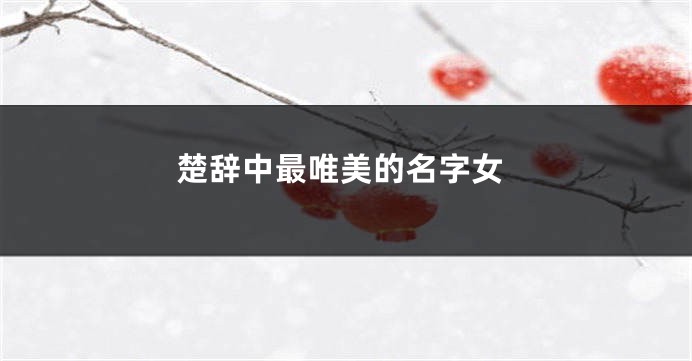 楚辞中最唯美的名字女