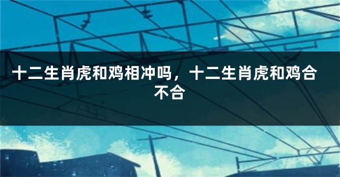 十二生肖虎和鸡相冲吗，十二生肖虎和鸡合不合