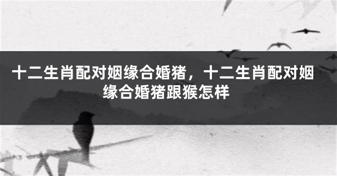 十二生肖配对姻缘合婚猪，十二生肖配对姻缘合婚猪跟猴怎样