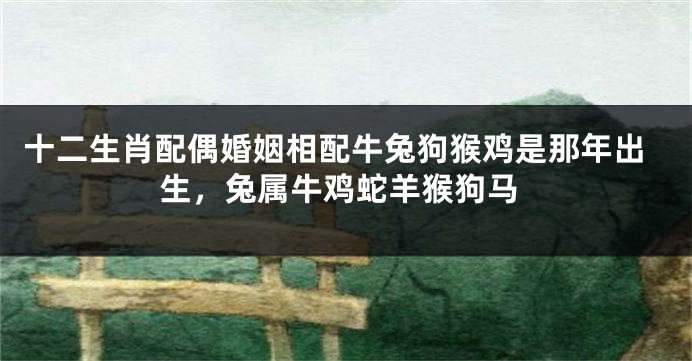 十二生肖配偶婚姻相配牛兔狗猴鸡是那年出生，兔属牛鸡蛇羊猴狗马
