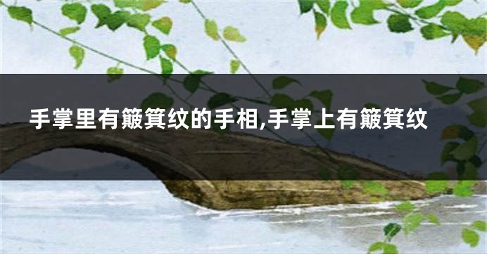 手掌里有簸箕纹的手相,手掌上有簸箕纹