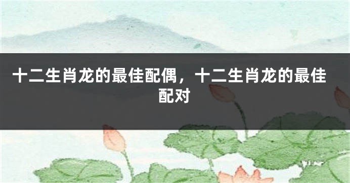 十二生肖龙的最佳配偶，十二生肖龙的最佳配对