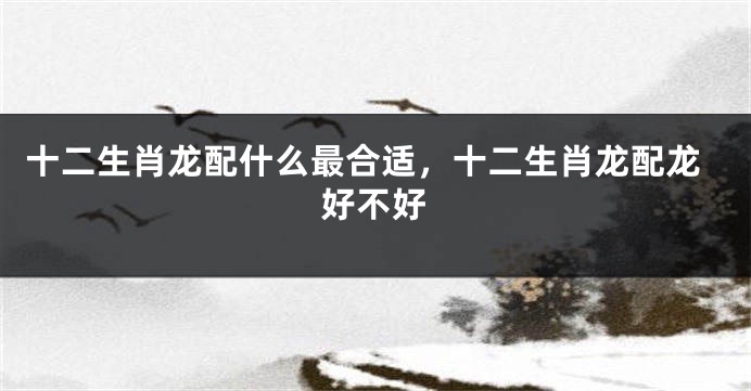 十二生肖龙配什么最合适，十二生肖龙配龙好不好