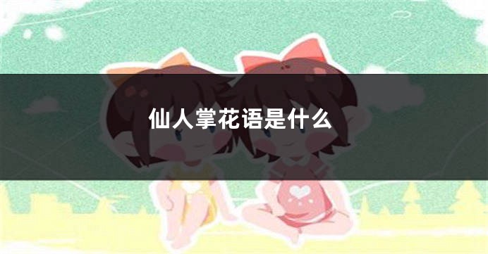 仙人掌花语是什么