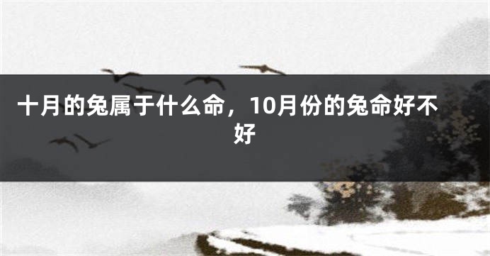 十月的兔属于什么命，10月份的兔命好不好