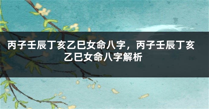 丙子壬辰丁亥乙巳女命八字，丙子壬辰丁亥乙巳女命八字解析