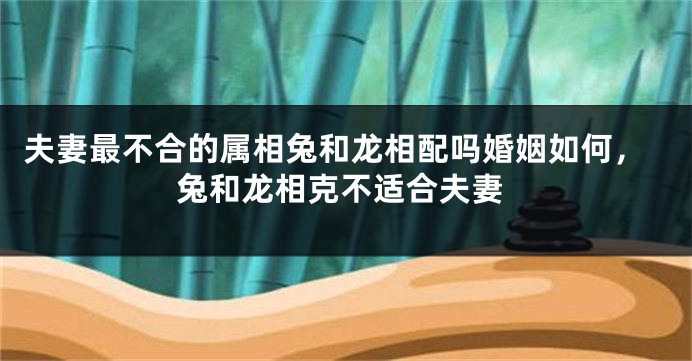 夫妻最不合的属相兔和龙相配吗婚姻如何，兔和龙相克不适合夫妻