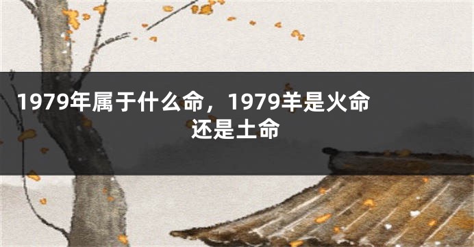 1979年属于什么命，1979羊是火命还是土命
