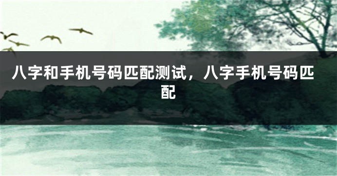八字和手机号码匹配测试，八字手机号码匹配
