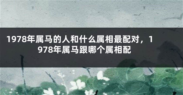 1978年属马的人和什么属相最配对，1978年属马跟哪个属相配