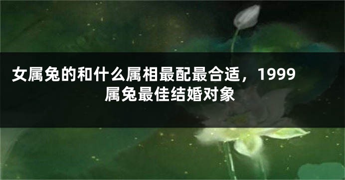 女属兔的和什么属相最配最合适，1999属兔最佳结婚对象