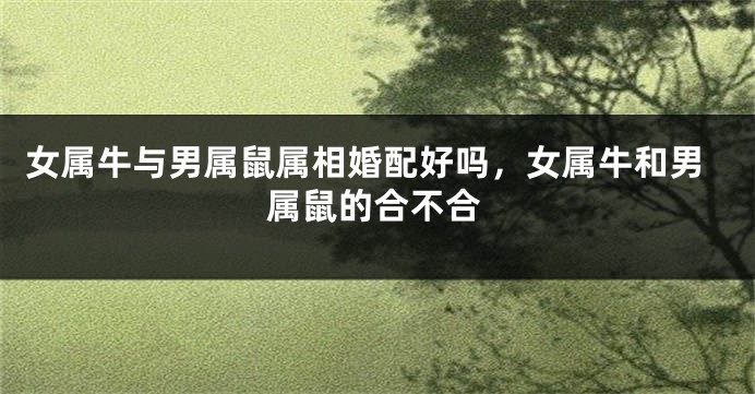 女属牛与男属鼠属相婚配好吗，女属牛和男属鼠的合不合