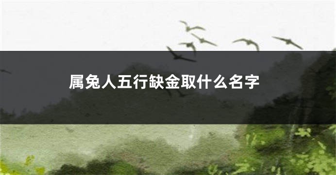 属兔人五行缺金取什么名字