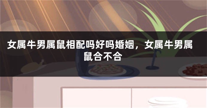 女属牛男属鼠相配吗好吗婚姻，女属牛男属鼠合不合
