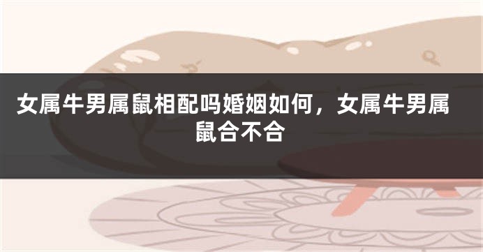女属牛男属鼠相配吗婚姻如何，女属牛男属鼠合不合