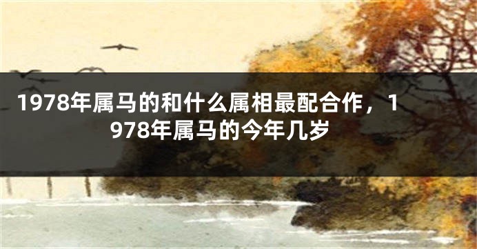 1978年属马的和什么属相最配合作，1978年属马的今年几岁