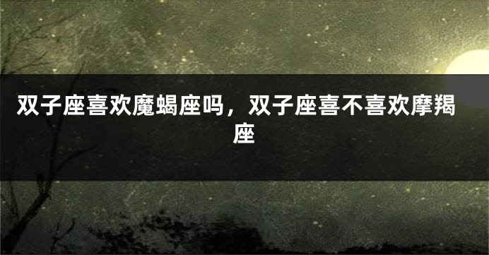 双子座喜欢魔蝎座吗，双子座喜不喜欢摩羯座