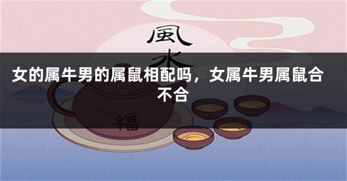 女的属牛男的属鼠相配吗，女属牛男属鼠合不合