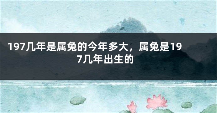 197几年是属兔的今年多大，属兔是197几年出生的