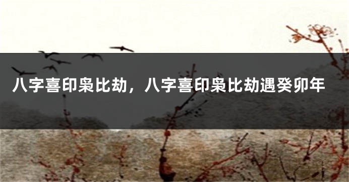 八字喜印枭比劫，八字喜印枭比劫遇癸卯年