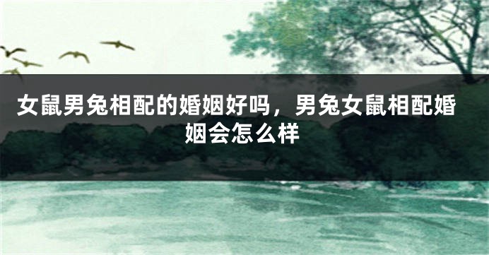女鼠男兔相配的婚姻好吗，男兔女鼠相配婚姻会怎么样