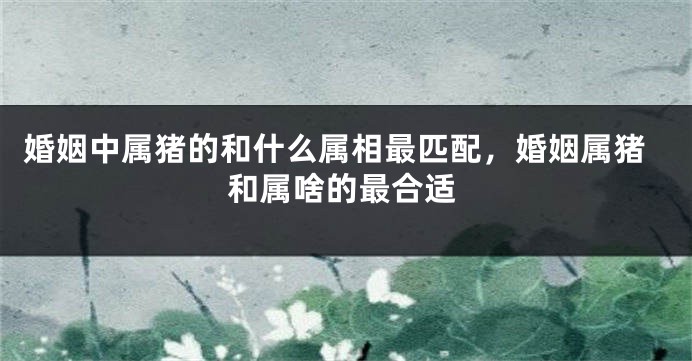婚姻中属猪的和什么属相最匹配，婚姻属猪和属啥的最合适