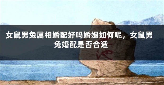 女鼠男兔属相婚配好吗婚姻如何呢，女鼠男兔婚配是否合适
