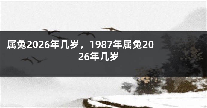属兔2026年几岁，1987年属兔2026年几岁