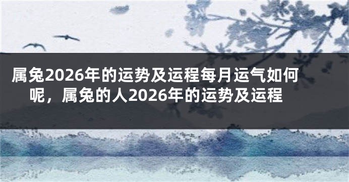 属兔2026年的运势及运程每月运气如何呢，属兔的人2026年的运势及运程