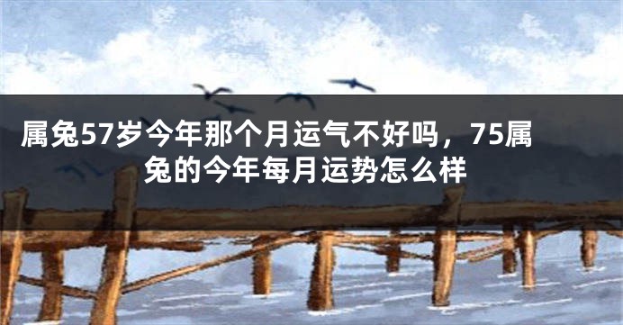 属兔57岁今年那个月运气不好吗，75属兔的今年每月运势怎么样