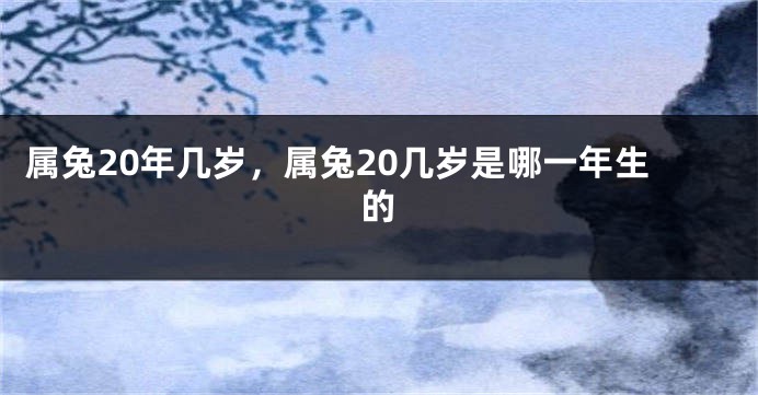 属兔20年几岁，属兔20几岁是哪一年生的