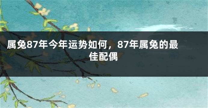 属兔87年今年运势如何，87年属兔的最佳配偶