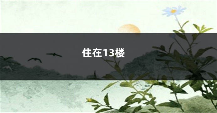 住在13楼