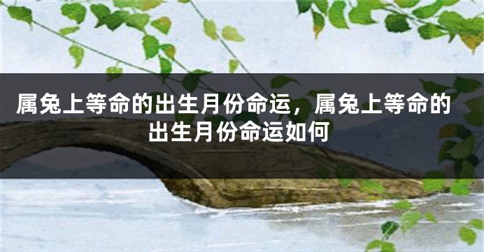 属兔上等命的出生月份命运，属兔上等命的出生月份命运如何