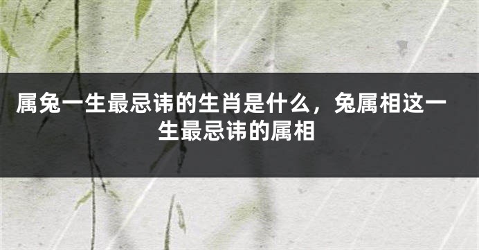 属兔一生最忌讳的生肖是什么，兔属相这一生最忌讳的属相