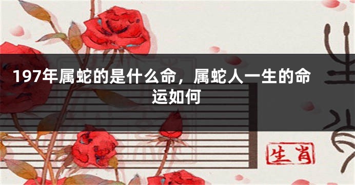 197年属蛇的是什么命，属蛇人一生的命运如何