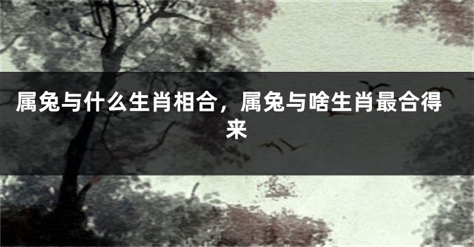 属兔与什么生肖相合，属兔与啥生肖最合得来