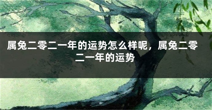 属兔二零二一年的运势怎么样呢，属兔二零二一年的运势