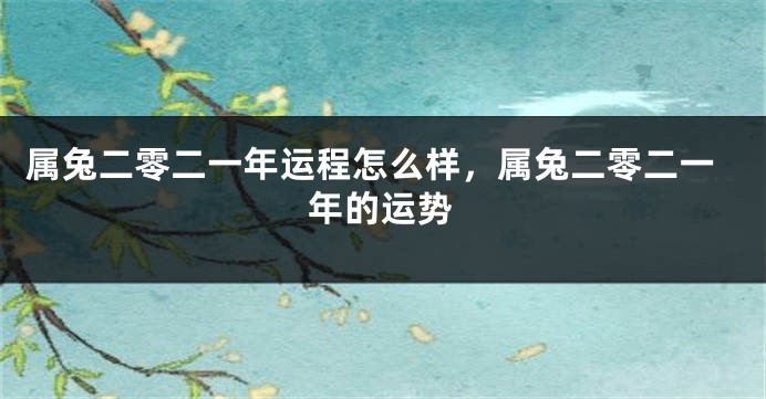属兔二零二一年运程怎么样，属兔二零二一年的运势