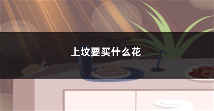 上坟要买什么花