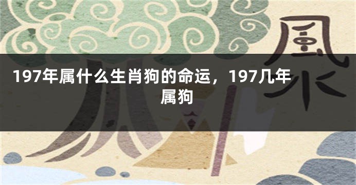 197年属什么生肖狗的命运，197几年属狗