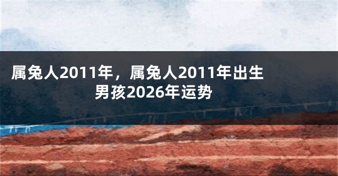 属兔人2011年，属兔人2011年出生男孩2026年运势
