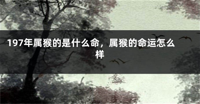 197年属猴的是什么命，属猴的命运怎么样