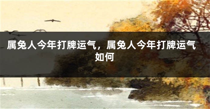 属兔人今年打牌运气，属兔人今年打牌运气如何