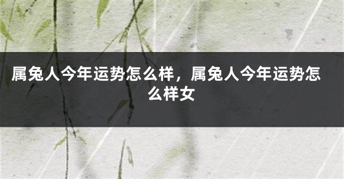 属兔人今年运势怎么样，属兔人今年运势怎么样女