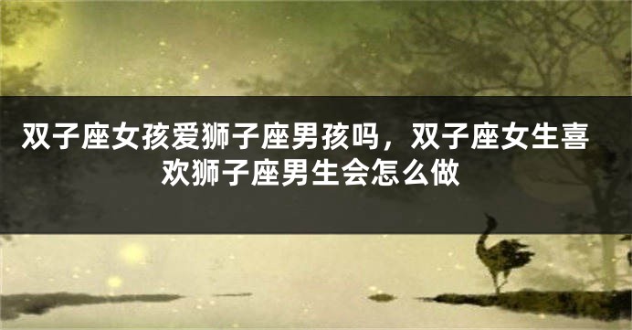 双子座女孩爱狮子座男孩吗，双子座女生喜欢狮子座男生会怎么做