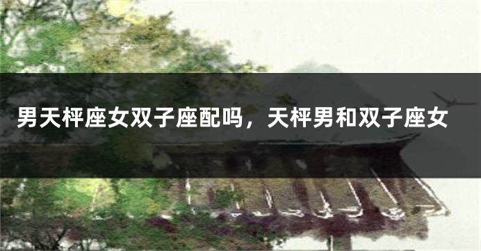 男天枰座女双子座配吗，天枰男和双子座女